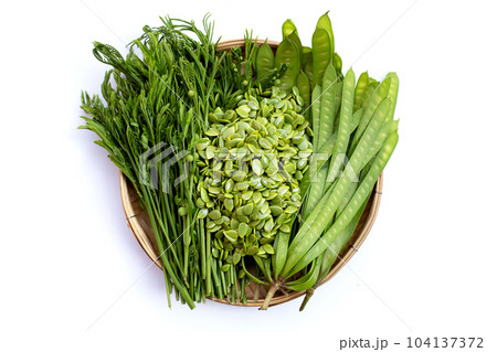 Leucaena leucocephala isolated on white background 104137372