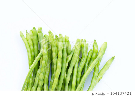 Rat-tailed radish. Fresh organic vegetables Rat-tailed radish. Fresh organic vegetables 104137421