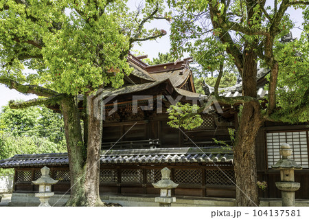 高砂神社 本殿 兵庫県高砂市 高砂神社 本殿 兵庫県高砂市 104137581