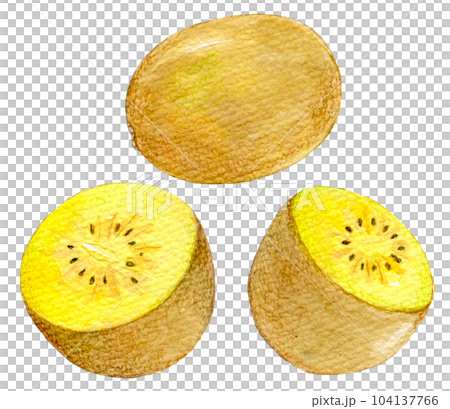 水彩イラスト　黄色いキウイ 104137766