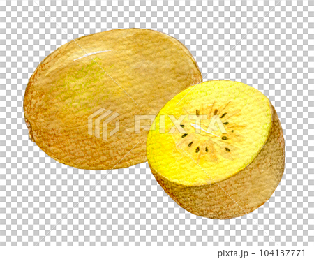 水彩イラスト　黄色いキウイ 104137771