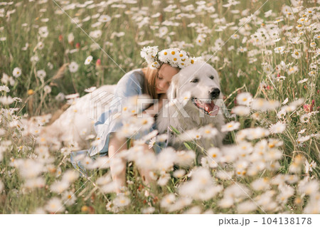 Girl dog meadow chamomile. Child girl embraces her furry friend in a serene chamomile field, surrounded by lush greenery. A heartwarming display of love and companionship between a girl and her dog. 104138178