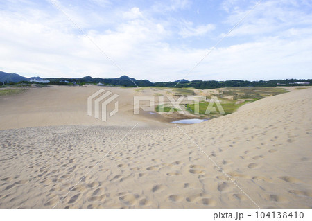 夏の鳥取砂丘とその紋様 鳥取県 鳥取砂丘 夏の鳥取砂丘とその紋様 鳥取県 鳥取砂丘 104138410
