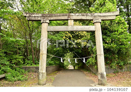 新潟県上越市五智の居多（こた）神社　 104139107