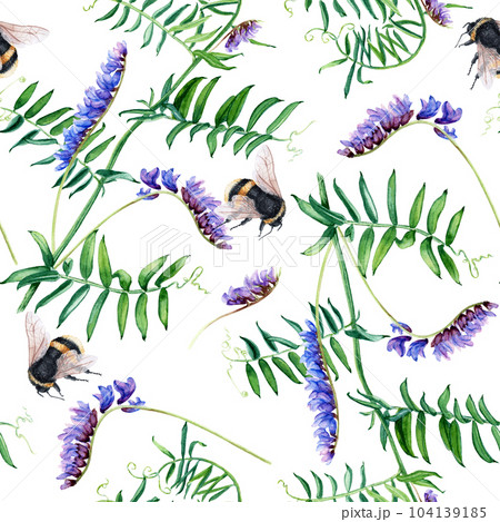Seamless pattern with plant vetch and bumblebee. Watercolor illustration isolated on white for wrapping, fabric, textile Seamless pattern with plant vetch and bumblebee. Watercolor illustration isolated on white for wrapping, fabric, textile 104139185