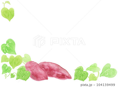 水彩絵の具で描いたさつまいも背景イラスト 104139499