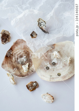 Handmade seashell earrings and tools for creating. Craft jewelry from natural material. 104140087