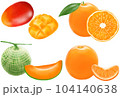 オレンジ色の果物 フルーツ くだもの 104140638