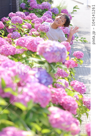 紫陽花と男の子 紫陽花と男の子 104141261