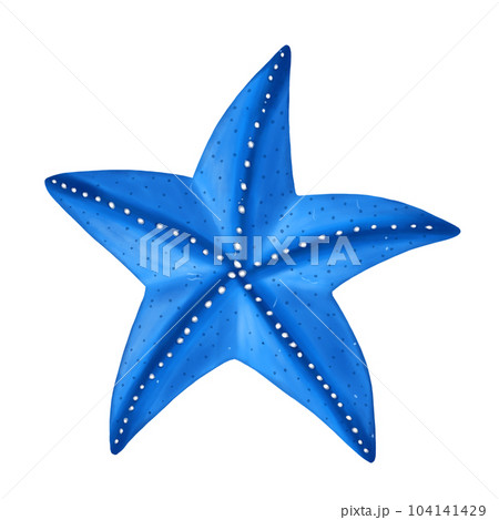 watercolor, starfish, sea, ocean, nature, summer, underwater, life, illustration, tropical, animal watercolor, starfish, sea, ocean, nature, summer, underwater, life, illustration, tropical, animal 104141429