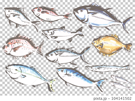 hand drawn fish set illustration hand drawn fish set illustration 104141502