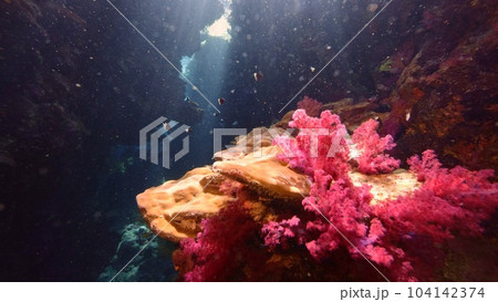 One diver exploring cave. One diver exploring cave. 104142374