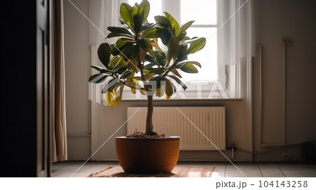 air purifying tree Used to decorate the house to give a feeling of freshness and liveliness. with natural light from the window. Generative AI air purifying tree Used to decorate the house to give a feeling of freshness and liveliness. with natural light from the window. Generative AI 104143258