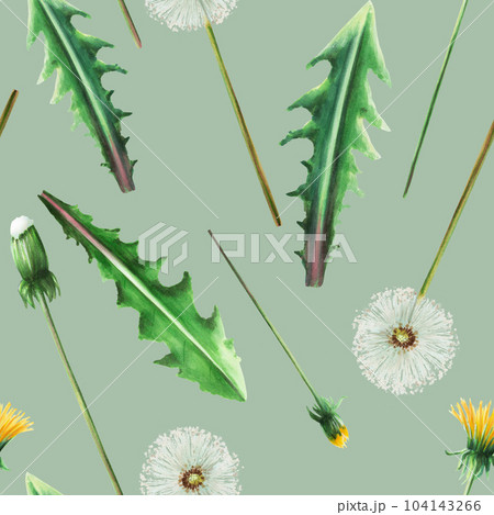 Watercolor seamless pattern with dandelions flowers and green leaves. Hand painting clipart botanical meadow illustration on a white isolated background. For designers, decoration, postcards, wrapping Watercolor seamless pattern with dandelions flowers and green leaves. Hand painting clipart botanical meadow illustration on a white isolated background. For designers, decoration, postcards, wrapping 104143266
