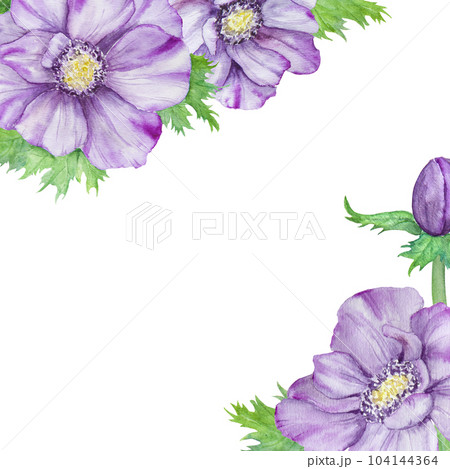 Hand drawn watercolor border of purple anemones with green leaves. Spring compositioin for wedding invitations, greeting cards 104144364