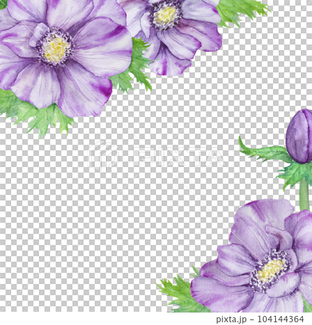 Hand drawn watercolor border of purple anemones with green leaves. Spring compositioin for wedding invitations, greeting cards 104144364