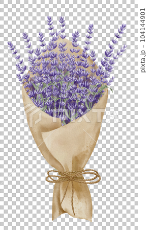 Bouquet of Lavender Flowers in paper with ribbon. Hand drawn watercolor illustration on white isolated background for greeting cards or wedding invitations. Floral Province drawing for icon or logo. 104144901