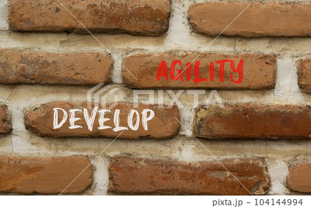 Develop agility symbol. Concept words Develop agility on beautiful brown brick wall on a beautiful brown brick wall background. Business, support and develop agility concept. Copy space. Develop agility symbol. Concept words Develop agility on beautiful brown brick wall on a beautiful brown brick wall background. Business, support and develop agility concept. Copy space. 104144994