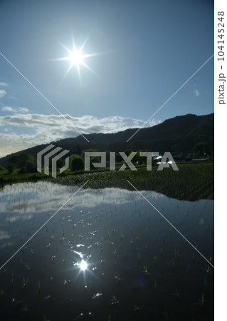 北杜市白州町、月齢14.5小望月映す田植えの済んだ田んぼ 北杜市白州町、月齢14.5小望月映す田植えの済んだ田んぼ 104145248