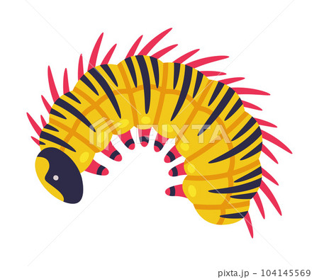 Yellow Caterpillar as Larval Stage of Insect Crawling and Creeping Vector Illustration 104145569