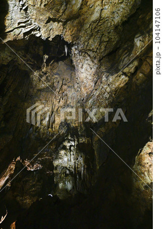 秋芳洞　洞内 104147106