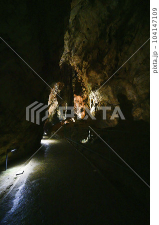 秋芳洞　洞内 104147109