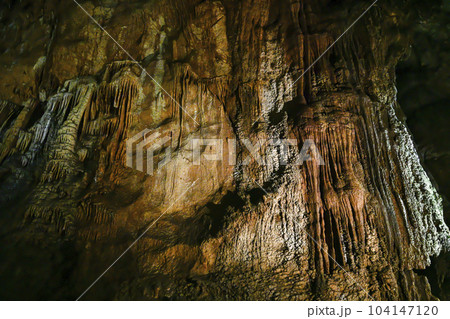 秋芳洞　洞内 104147120
