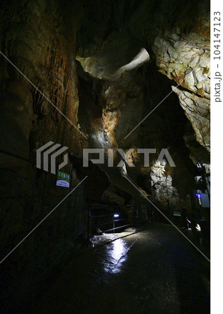 秋芳洞　洞内 104147123