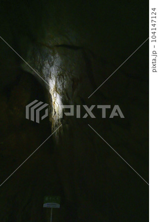 秋芳洞　猿すべり 104147124