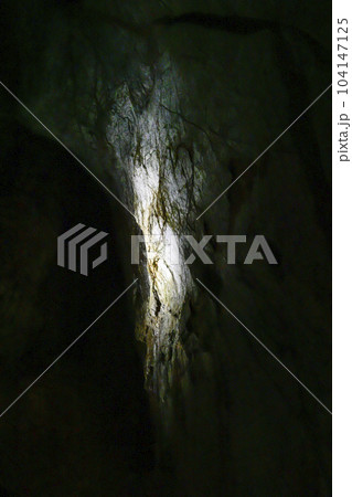 秋芳洞　猿すべり 104147125