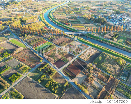 空撮「埼玉県」ドローンで撮影した見沼田んぼの秋の風景 空撮「埼玉県」ドローンで撮影した見沼田んぼの秋の風景 104147200