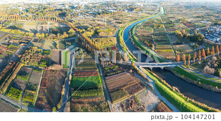 空撮「埼玉県」ドローンで撮影した見沼田んぼの秋の風景 104147201
