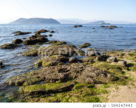志賀島南部の朝の海岸と博多湾の風景。 104147443