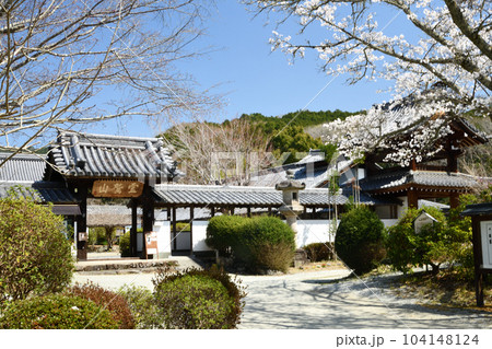 世尊寺中門と桜(比曽寺跡) 【奈良県吉野郡大淀町】 世尊寺中門と桜(比曽寺跡) 【奈良県吉野郡大淀町】 104148124