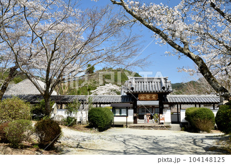 世尊寺中門と桜(比曽寺跡) 　【奈良県吉野郡大淀町】 104148125