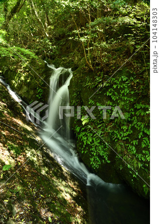 古津喜の滝(犬鳴山渓谷)　【大阪府泉佐野市】 104148303