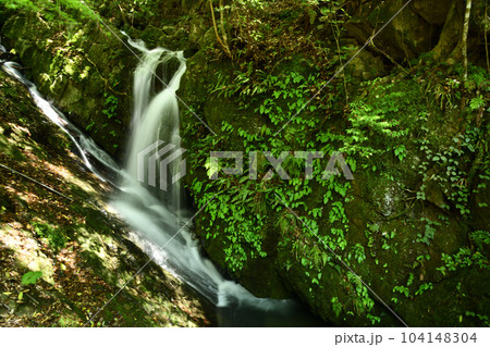 古津喜の滝(犬鳴山渓谷)　【大阪府泉佐野市】 104148304