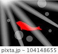 孤独なイルカ暗い#海を、#彷徨う海を、仲間を捜し求めて！ 104148655