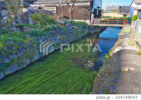 【伊庭の水辺景観】 滋賀県東近江市伊庭町 【伊庭の水辺景観】 滋賀県東近江市伊庭町 104149043