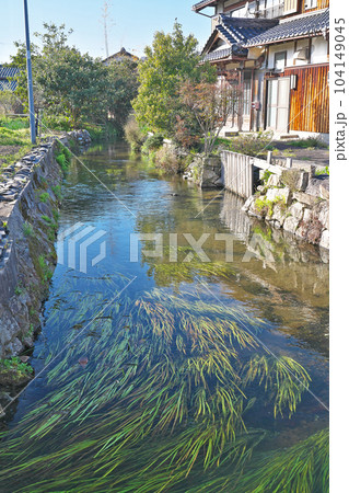 【伊庭の水辺景観】 滋賀県東近江市伊庭町 104149045