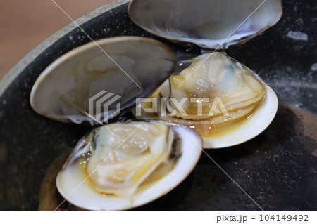 あさり アサリ はまぐり ハマグリ あさりの酒蒸し キャンプ ハマグリの素焼き キャンプ飯 あさり アサリ はまぐり ハマグリ あさりの酒蒸し キャンプ ハマグリの素焼き キャンプ飯 104149492