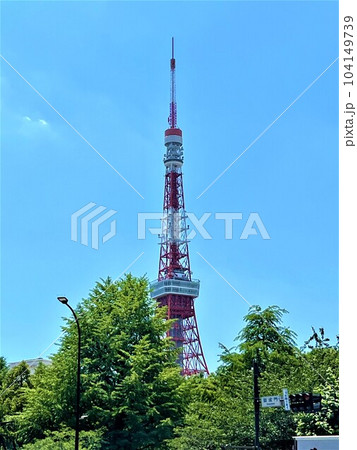 芝公園の東京タワー、周りに高層ビルが建ち並んでいます。 104149739
