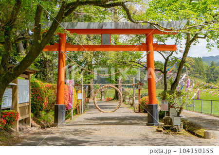 檍神社の鳥居 檍神社の鳥居 104150155
