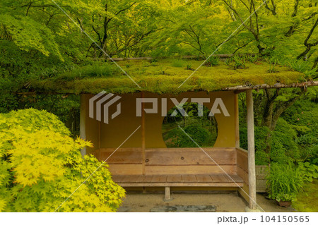 円通院 日本庭園 円通院 日本庭園 104150565