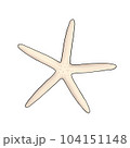 starfish 104151148