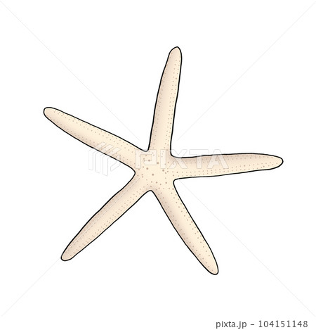 starfish starfish 104151148