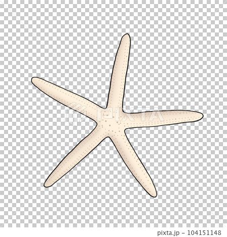 starfish starfish 104151148