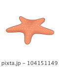 starfish 104151149