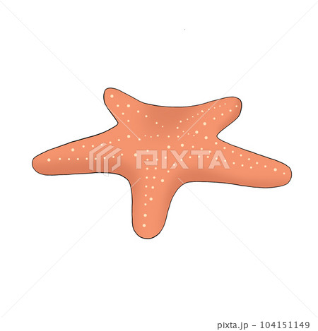 starfish starfish 104151149