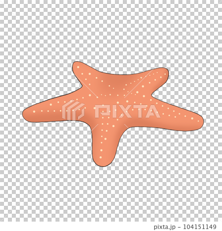 starfish starfish 104151149